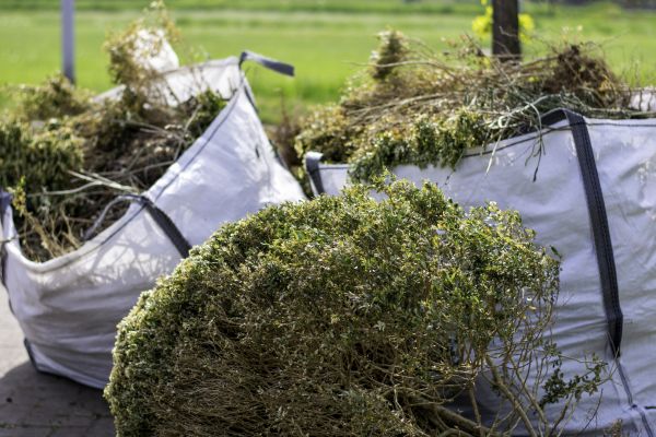 Cost of Shrubs Removal in Missoula