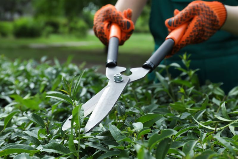 Tool Use in Shrub Trimming