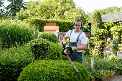 Residential Shrub Care